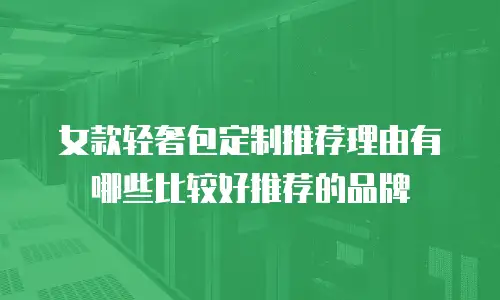 女款轻奢包定制推荐理由有哪些比较好推荐的品牌
