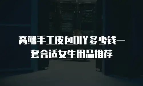 高端手工皮包DIY多少钱一套合适女生用品推荐