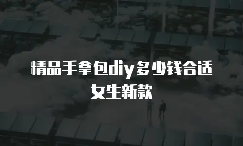 精品手拿包diy多少钱合适女生新款