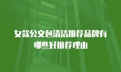 女款公文包清洁推荐品牌有哪些好推荐理由