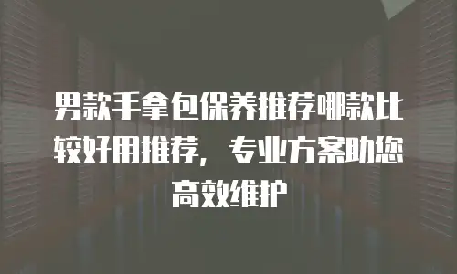 男款手拿包保养推荐哪款比较好用推荐，专业方案助您高效维护