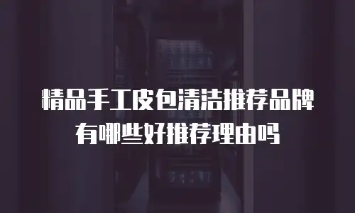 精品手工皮包清洁推荐品牌有哪些好推荐理由吗