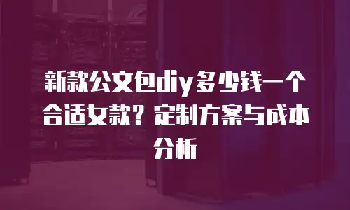 新款公文包diy多少钱一个合适女款？定制方案与成本分析