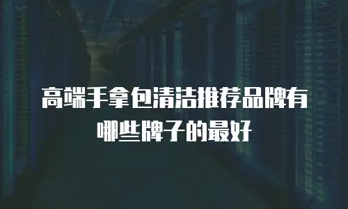 高端手拿包清洁推荐品牌有哪些牌子的最好