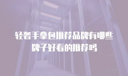 轻奢手拿包推荐品牌有哪些牌子好看的推荐吗