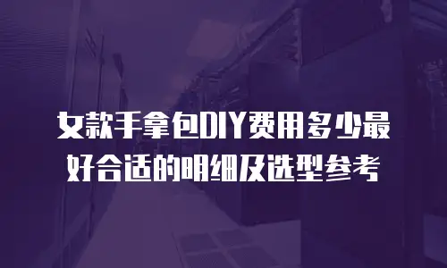 女款手拿包DIY费用多少最好合适的明细及选型参考