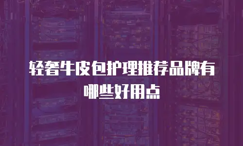 轻奢牛皮包护理推荐品牌有哪些好用点