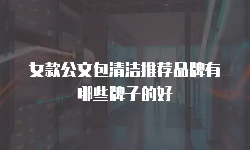 女款公文包清洁推荐品牌有哪些牌子的好