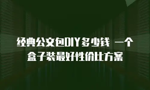 经典公文包DIY多少钱 一个盒子装最好性价比方案
