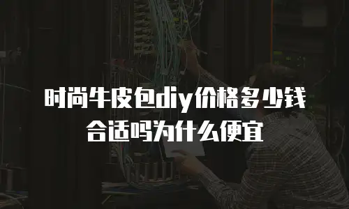 时尚牛皮包diy价格多少钱合适吗为什么便宜