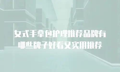 女式手拿包护理推荐品牌有哪些牌子好看又实用推荐