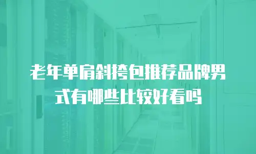 老年单肩斜挎包推荐品牌男式有哪些比较好看吗