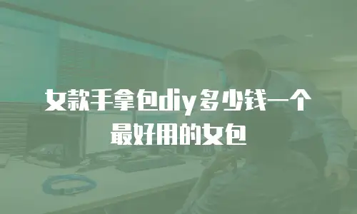 女款手拿包diy多少钱一个最好用的女包