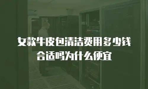 女款牛皮包清洁费用多少钱合适吗为什么便宜