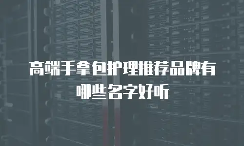 高端手拿包护理推荐品牌有哪些名字好听