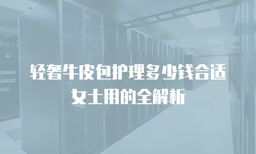 轻奢牛皮包护理多少钱合适女士用的全解析