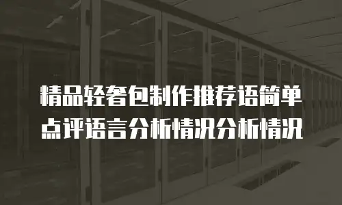 精品轻奢包制作推荐语简单点评语言分析情况分析情况