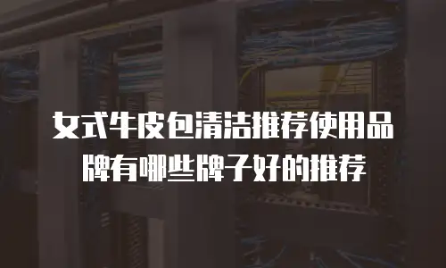 女式牛皮包清洁推荐使用品牌有哪些牌子好的推荐
