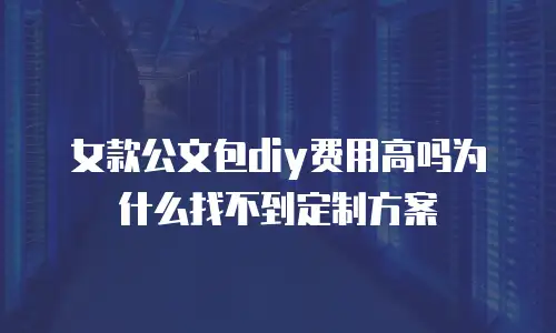 女款公文包diy费用高吗为什么找不到定制方案