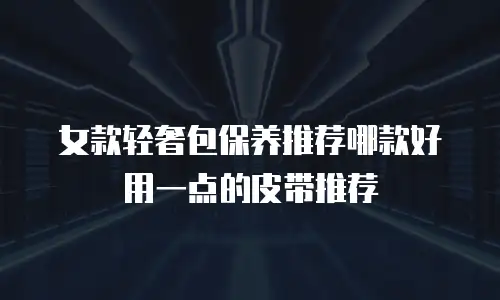 女款轻奢包保养推荐哪款好用一点的皮带推荐