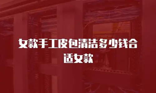 女款手工皮包清洁多少钱合适女款