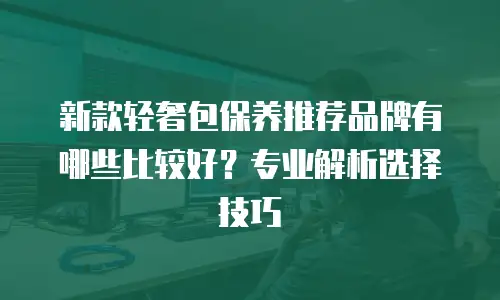新款轻奢包保养推荐品牌有哪些比较好？专业解析选择技巧