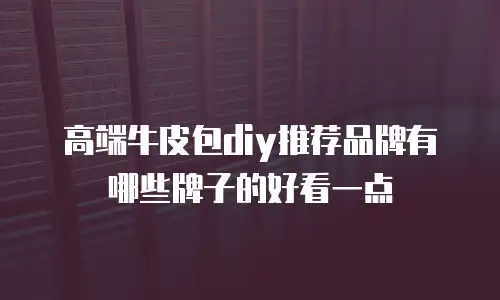 高端牛皮包diy推荐品牌有哪些牌子的好看一点