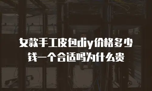 女款手工皮包diy价格多少钱一个合适吗为什么贵