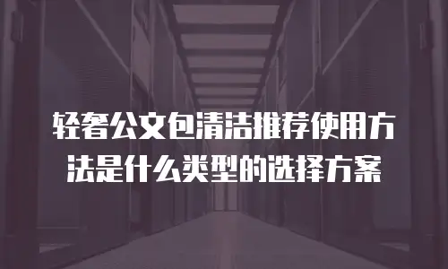 轻奢公文包清洁推荐使用方法是什么类型的选择方案