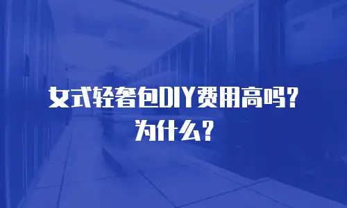 女式轻奢包DIY费用高吗？为什么？