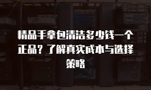 精品手拿包清洁多少钱一个正品？了解真实成本与选择策略