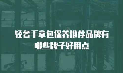 轻奢手拿包保养推荐品牌有哪些牌子好用点