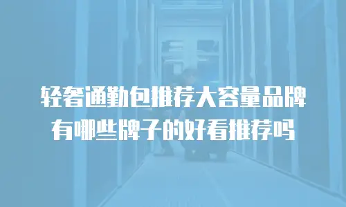 轻奢通勤包推荐大容量品牌有哪些牌子的好看推荐吗