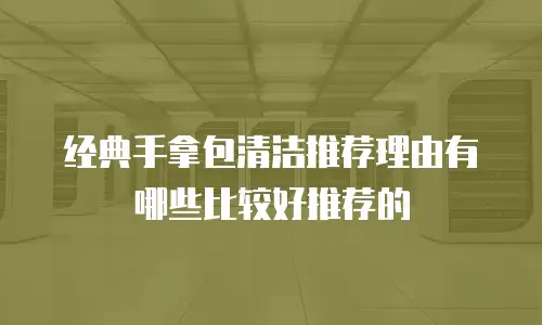 经典手拿包清洁推荐理由有哪些比较好推荐的