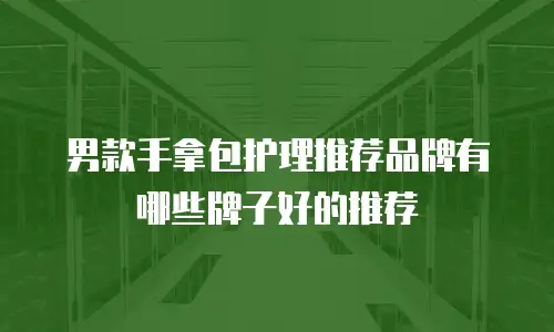 男款手拿包护理推荐品牌有哪些牌子好的推荐