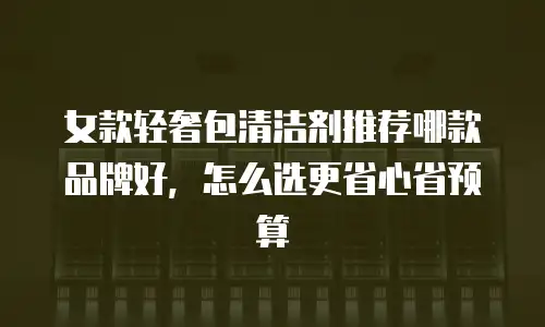 女款轻奢包清洁剂推荐哪款品牌好，怎么选更省心省预算