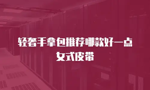 轻奢手拿包推荐哪款好一点女式皮带