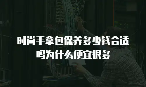 时尚手拿包保养多少钱合适吗为什么便宜很多