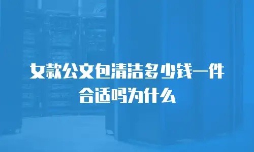 女款公文包清洁多少钱一件合适吗为什么