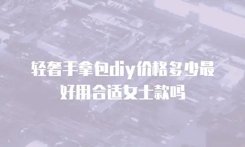 轻奢手拿包diy价格多少最好用合适女士款吗