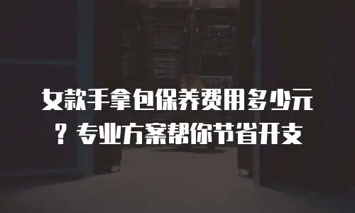 女款手拿包保养费用多少元？专业方案帮你节省开支