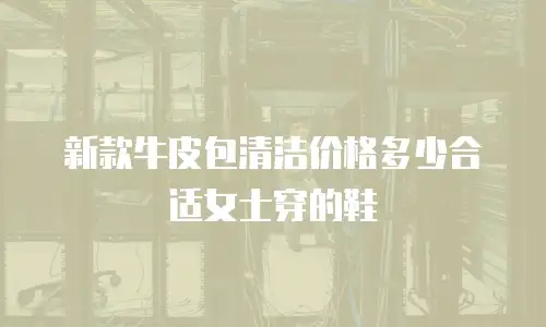 新款牛皮包清洁价格多少合适女士穿的鞋