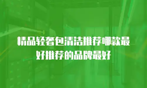 精品轻奢包清洁推荐哪款最好推荐的品牌最好