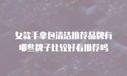 女款手拿包清洁推荐品牌有哪些牌子比较好看推荐吗