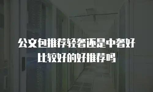 公文包推荐轻奢还是中奢好比较好的好推荐吗