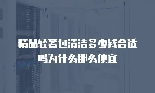 精品轻奢包清洁多少钱合适吗为什么那么便宜