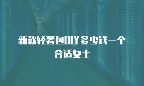 新款轻奢包DIY多少钱一个合适女士