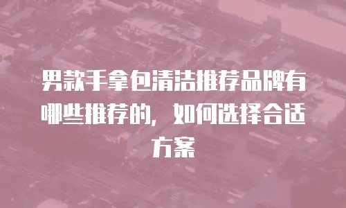 男款手拿包清洁推荐品牌有哪些推荐的，如何选择合适方案