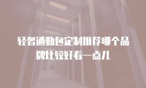 轻奢通勤包定制推荐哪个品牌比较好看一点儿