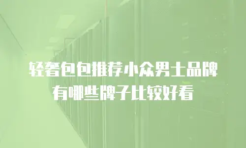 轻奢包包推荐小众男士品牌有哪些牌子比较好看